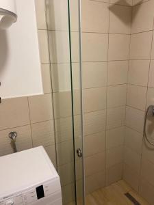 een douche met een glazen deur in de badkamer bij Apartman Laziva in Budva