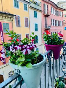 dos macetas de flores en una bicicleta en una calle de la ciudad en Cinque Terre Casa Gina La Spezia, en La Spezia