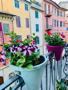 Dos macetas de flores en una bicicleta en una calle de la ciudad en Cinque Terre Casa Gina La Spezia, en La Spezia