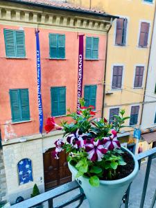 una maceta de flores en un balcón con un edificio en Cinque Terre Casa Gina La Spezia en La Spezia