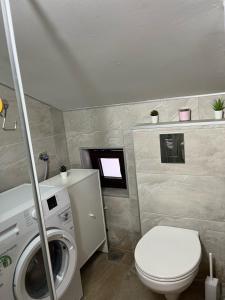 uma casa de banho com um WC e uma máquina de lavar roupa em Apartman Savska Palata em Sajmište