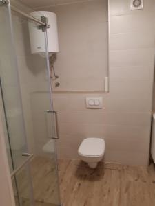a bathroom with a toilet and a glass shower door at Apartman River in Prijedor