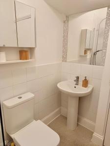 uma casa de banho branca com um WC e um lavatório em Modern maisonette in Hove free parking dog friendly em Brighton & Hove