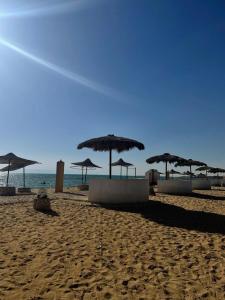 un grupo de sombrillas en una playa con el océano en إطلالة مباشرة على البحر شاليه فندقي مكيف بحديقة خاصة راس سدر, en Ras Sedr
