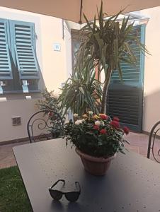 Κήπος έξω από το Casa Vacanze Rustico Di Corte