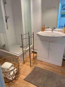 uma casa de banho com um lavatório, um chuveiro e um espelho. em Coquillages et crustacés em Criel-sur-Mer