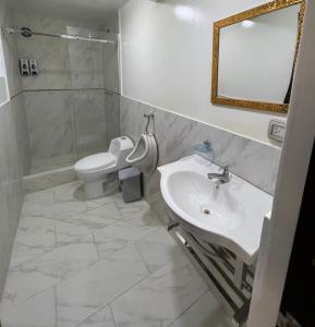 ein Badezimmer mit einem Waschbecken, einem WC und einem Spiegel in der Unterkunft Terra Imperial in Chachapoyas