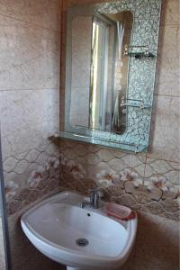a bathroom with a sink and a mirror at Guest House Gela in Batumi