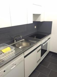 uma cozinha com um lavatório e uma bancada em Chavallera 42 em St. Moritz