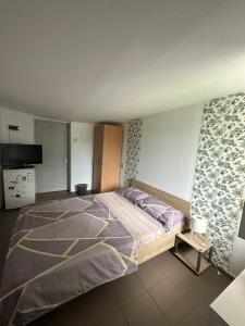 a bedroom with a large bed in a room at Camere de Închiriat David Corbu in Corbu
