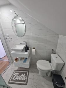 a bathroom with a toilet and a sink and a mirror at Apartman Viking in Donji Milanovac
