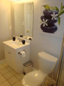 a bathroom with a toilet and a sink and a mirror at Comfortable apartment in Kingston