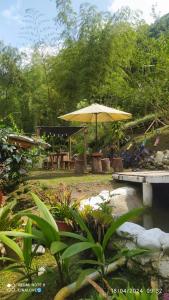 un patio con mesa y sombrilla en Curigua Ecolodge-Sendero Cascada la milagrosa Buga, en La Primavera