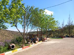 una fila di alberi e vasi sul lato di una strada di La ferme familiale Atmani a El Kseur