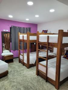 a group of bunk beds in a room at Itza Hotel Akumal - Dive House in Akumal