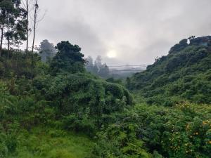 a lush green hillside with the sun in the background at Pavithra cottage munnar in Munnar