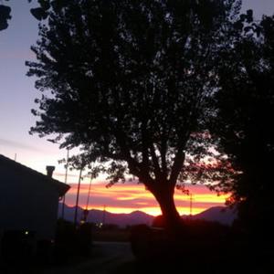 CadenazzoにあるCamping Alexの夕日を背景に植えられた木