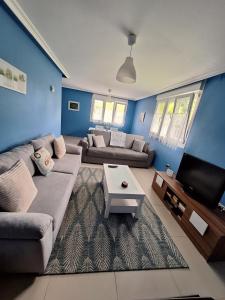 a living room with two couches and a tv at Casina verde manzana in Villaviciosa