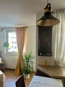 a living room with a tv and a window at Apartament WITOMINO in Gdynia