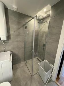 um chuveiro com uma porta de vidro na casa de banho em Apartman Green Divčigora em Divčibare