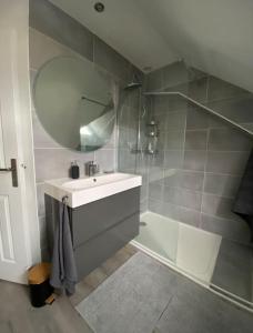 a bathroom with a sink and a shower and a mirror at Le Cottage Apaisant in Ardon +3 photos