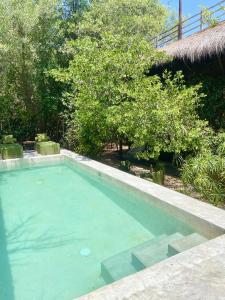 a swimming pool in a yard with trees at Amor Rooms in Tulum