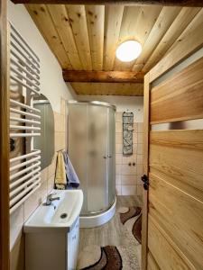 a bathroom with a shower and a sink at Zakątek u Basi in Frysztak