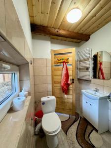 a bathroom with a toilet and a sink at Zakątek u Basi in Frysztak