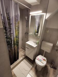 une salle de bain avec toilettes, lavabo et douche dans l'établissement Apartment Miris Dunja, à Sarajevo