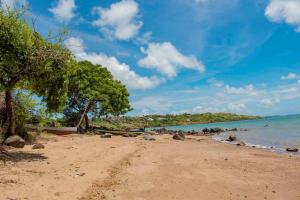 a sandy beach with trees and the ocean at Hôtel RIZIKY in Diego Suarez