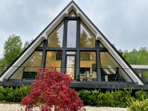 a glass house with a pyramid shaped roof at Pine Hill Poiana Marului in Poiana Mărului