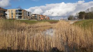 a body of water with tall grass and buildings at Courbevoie lodge in Louvain-la-Neuve