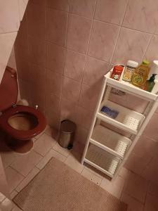a small bathroom with a toilet and a sink at Studio in villa with parking and private garden in Saint-Laurent-du-Var