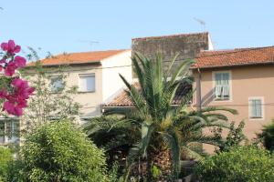 una palmera frente a un edificio en Studio in villa with parking and private garden, en Saint-Laurent-du-Var