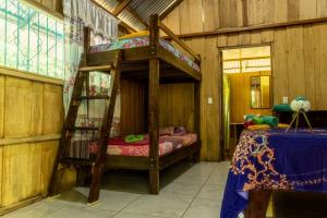Los Paniquines Ecolodge في دريك: غرفة نوم مع سرير بطابقين في غرفة