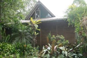a house in the middle of a garden with trees at “Jinwhi” in Beechmont