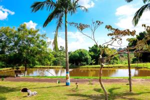 um parque com palmeiras e um corpo de água em Pousada - Pesqueiro do Brasinha 