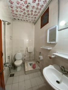 a bathroom with a toilet and a sink at Zain Hotel Abbottabad in Abbottabad