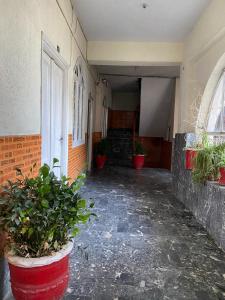 an empty hallway with potted plants in a building at Zain Hotel Abbottabad in Abbottabad
