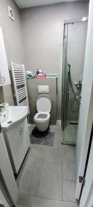 a bathroom with a shower and a toilet and a sink at Apartman Jakša in Prijedor