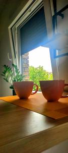 two cups sitting on a table in front of a window at Apartman Jakša in Prijedor