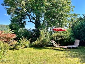 a couple of chairs and an umbrella in the grass at Ferienhaus Ahorn, 3 Schlafzimmer, Todtnauberg in Todtnauberg