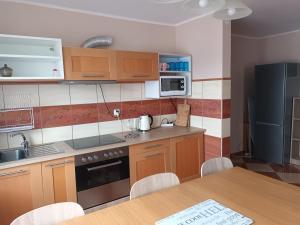 Kuchyň nebo kuchyňský kout v ubytování Apartamenty i pokoje u Kryni