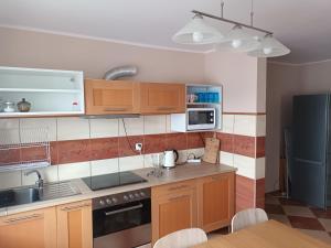 Kuchyň nebo kuchyňský kout v ubytování Apartamenty i pokoje u Kryni