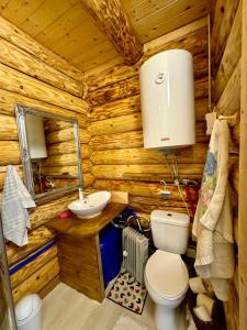 baño con aseo y lavamanos en una cabaña de madera en Cichy Zakątek u Basi 