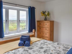 a bedroom with a bed and two windows and a dresser at Fairholme in Bodfari