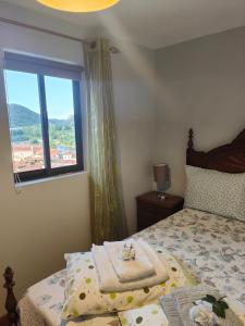 1 dormitorio con 1 cama y ventana en Casinha da Ladeira 3360, en Penacova