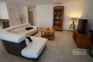a living room with a couch and a tv at Sublime Loft de 130m climatisé au calme in Vias