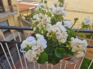 a bouquet of white flowers in a vase on a balcony at B&B Estia Domus in Pompei