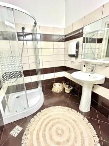 a bathroom with a shower and a sink and a toilet at Home central apartment Sibiu in Sibiu